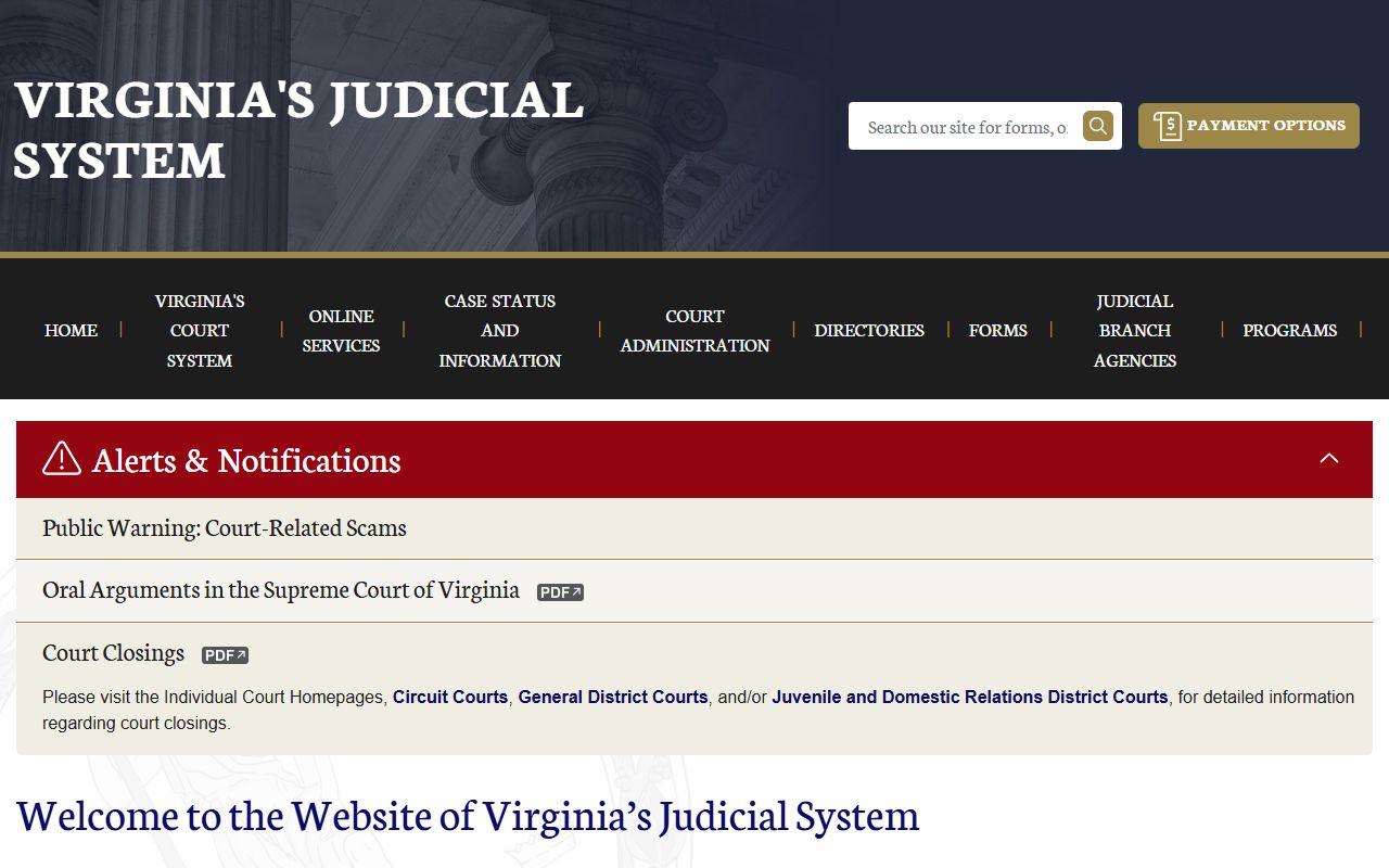 Wise County police records search through Virginia Courts website